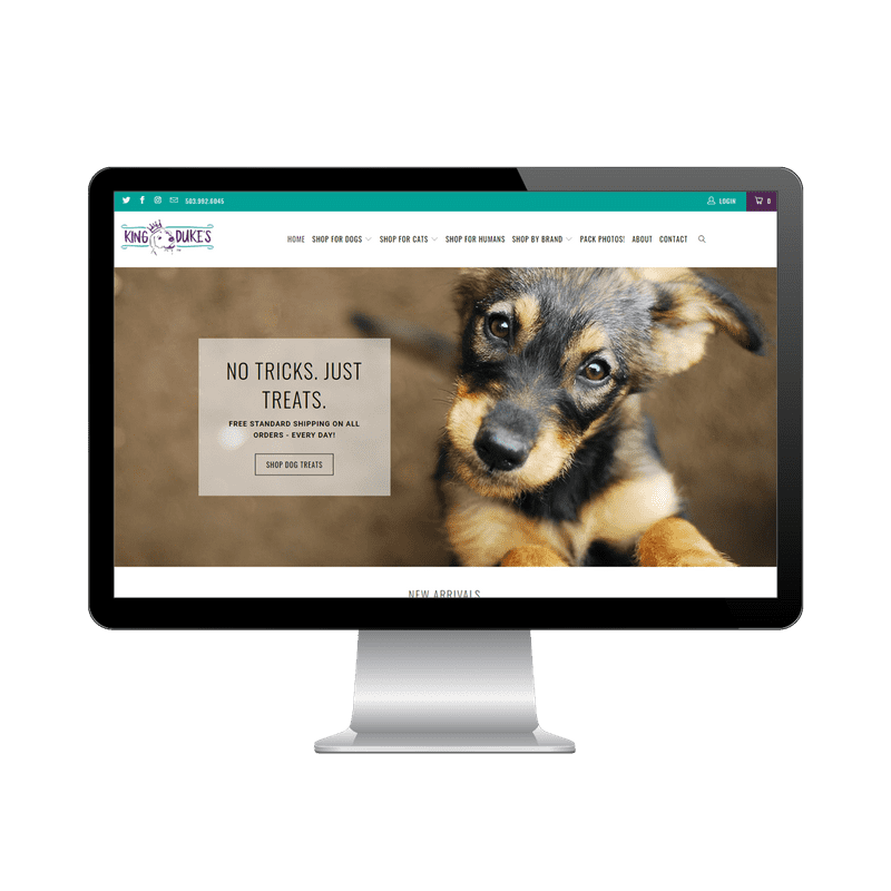 Selling pet products outlet online