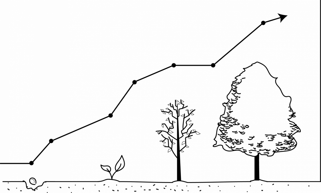 Tree Graph