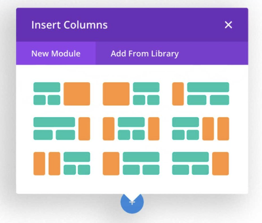 divi theme sections