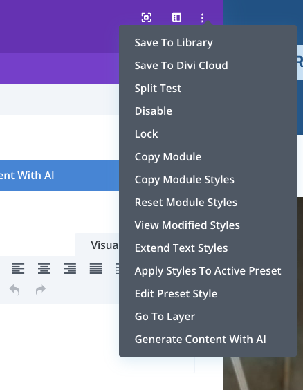 more settings divi theme module