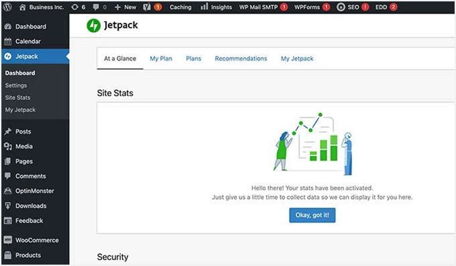 A WordPress dashboard with the Jetpack plugin open, showing site stats and a message stating stats have been activated, along with an illustration of two people and a bar graph. A blue Okay, got it! button is visible.