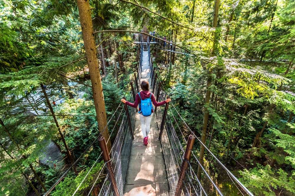 10 Digital Marketing Strategies for Eco-Tourism Businesses